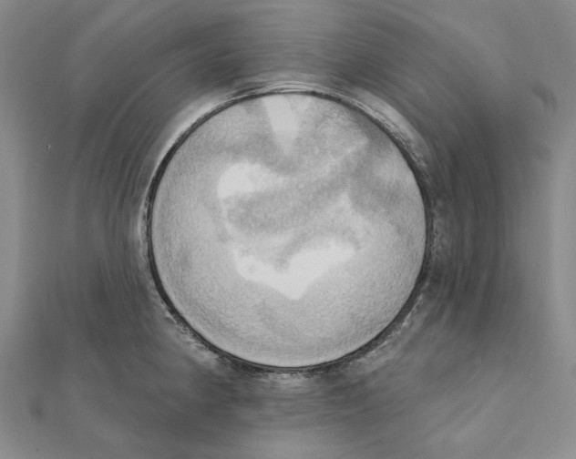 X0000111361190200908071147