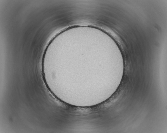 X0000111361191200908071147