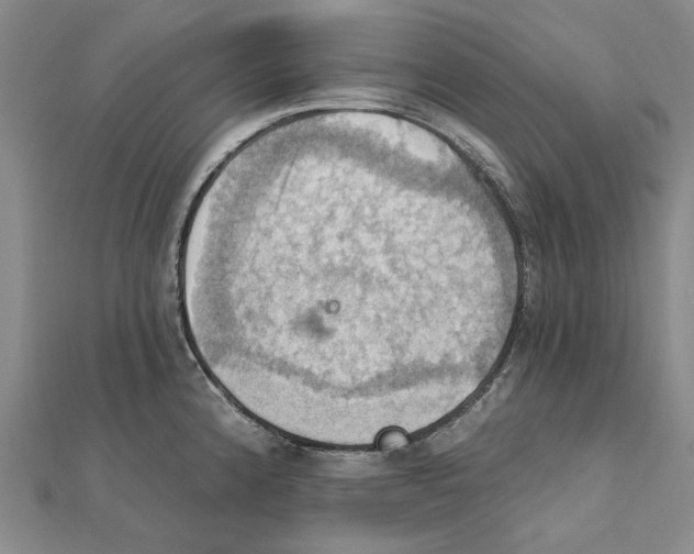 X0000111361192200908071147