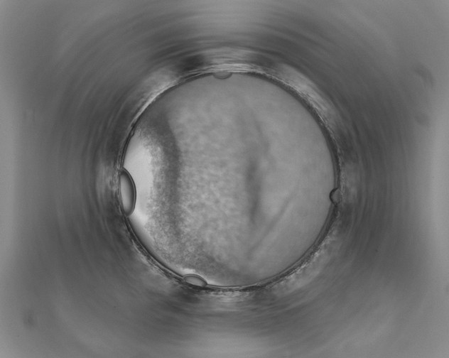 X0000111361193200908071147