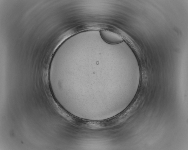 X0000111361194200908071147