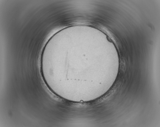 X0000111361195200908071147