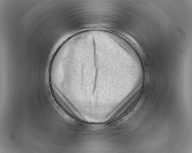 X0000111361196200908071147