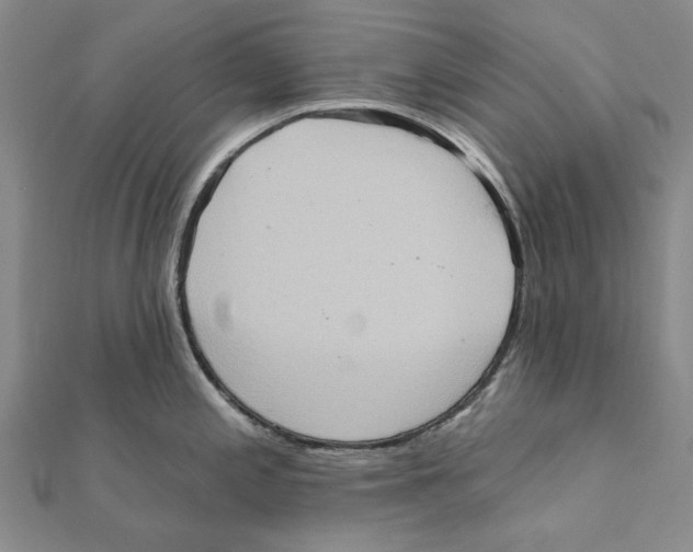 X0000111361197200908071147