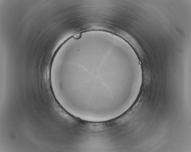 X0000111361198200908071147