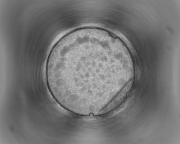 X0000111361199200908071147