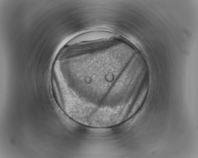 X0000111361200200908071147