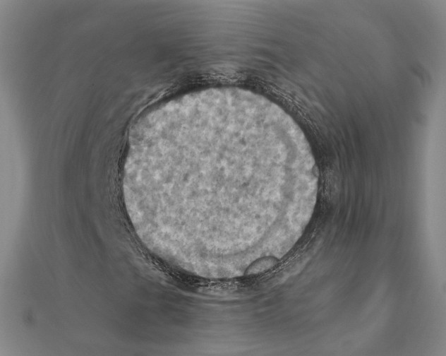 X0000111361201200908071146