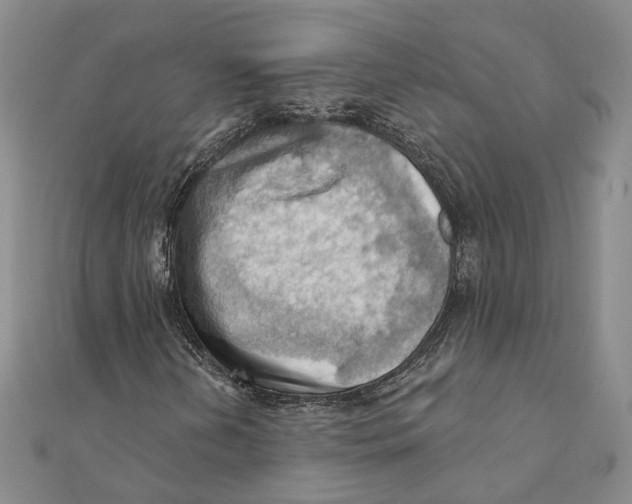 X0000111361202200908071146