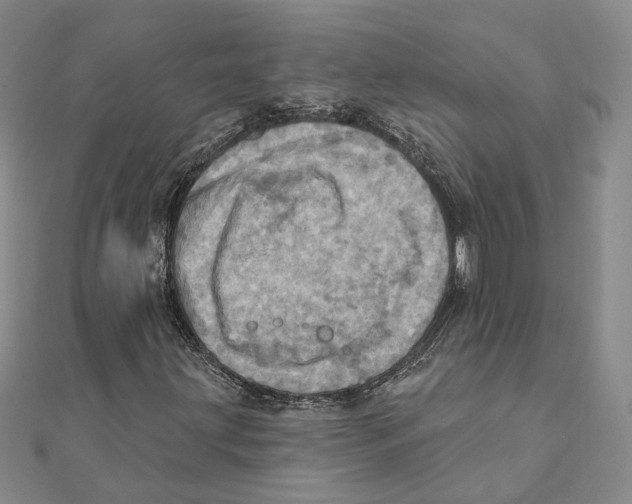 X0000111361203200908071146