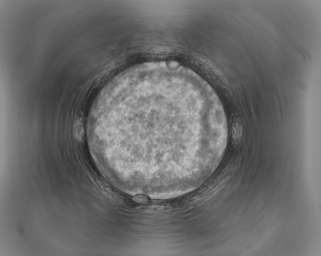 X0000111361204200908071146