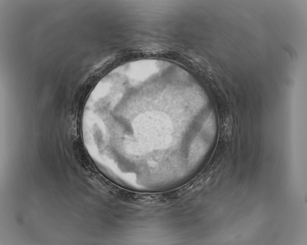 X0000111361205200908071146