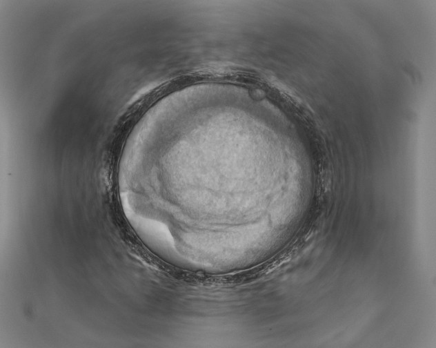 X0000111361206200908071146