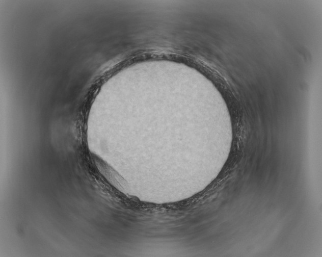 X0000111361207200908071146