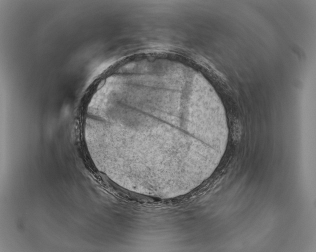 X0000111361208200908071146