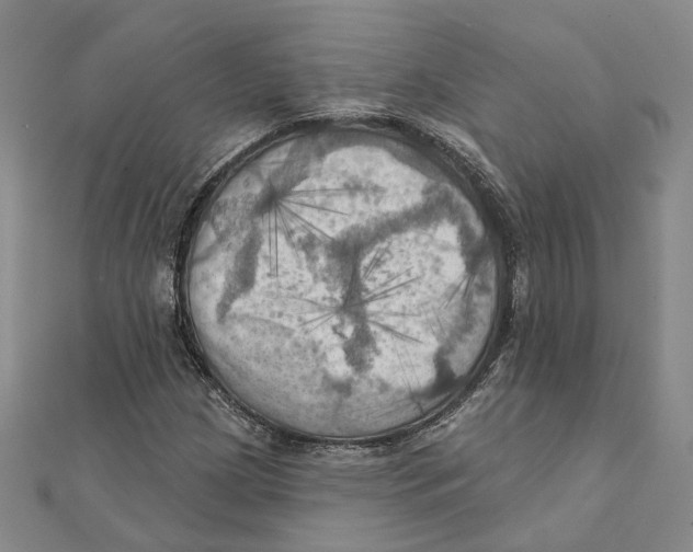 X0000111361209200908071146