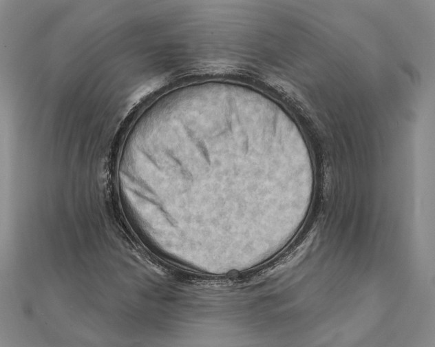 X0000111361210200908071146