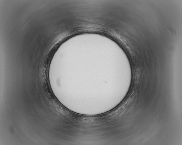 X0000111361211200908071146