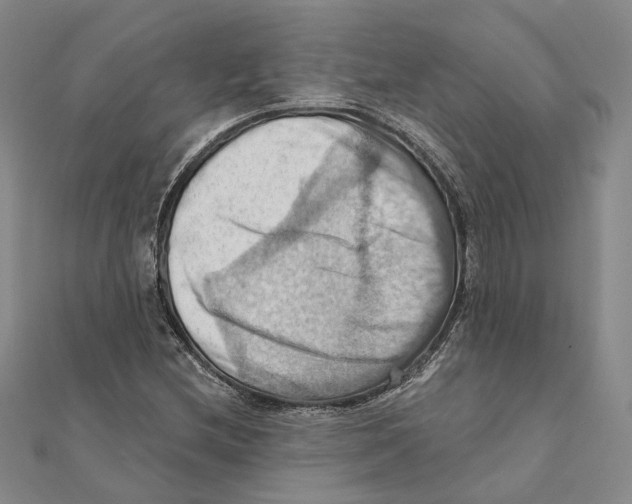 X0000111361212200908071146