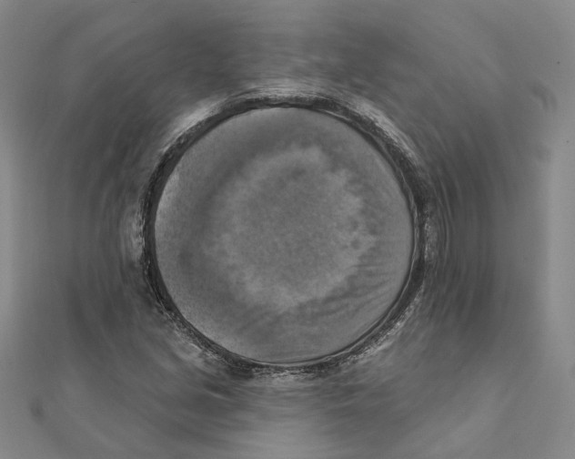 X0000111361213200908071146