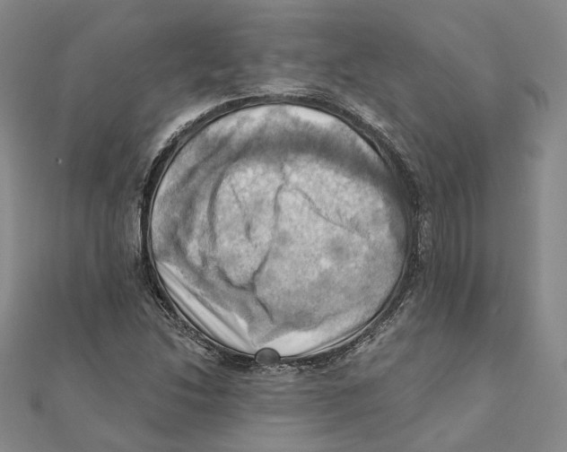 X0000111361214200908071146