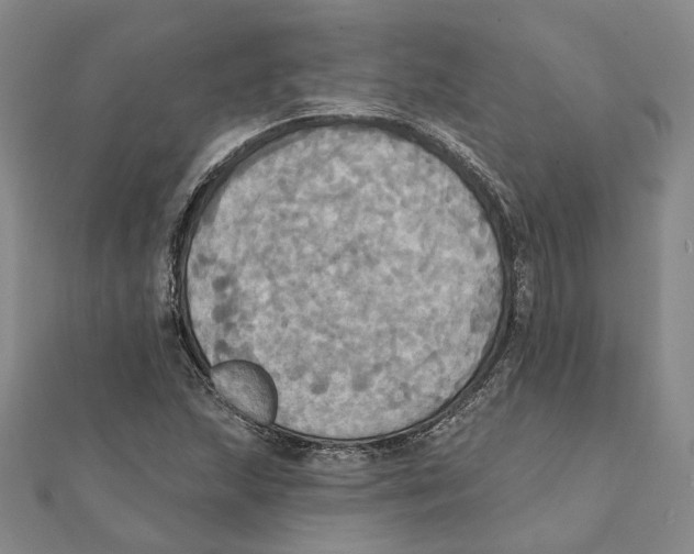 X0000111361215200908071146