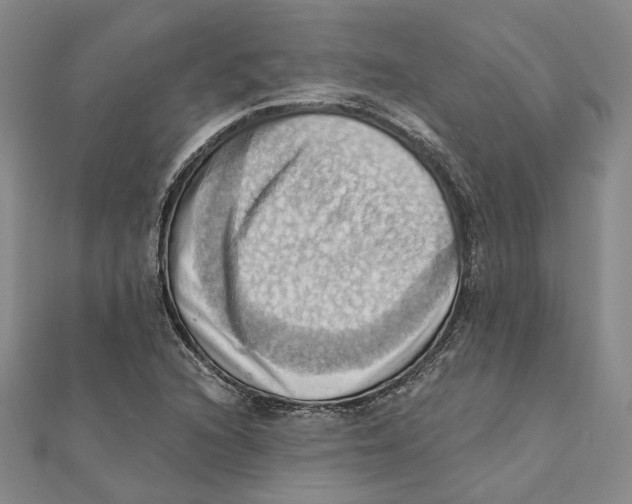 X0000111361216200908071146