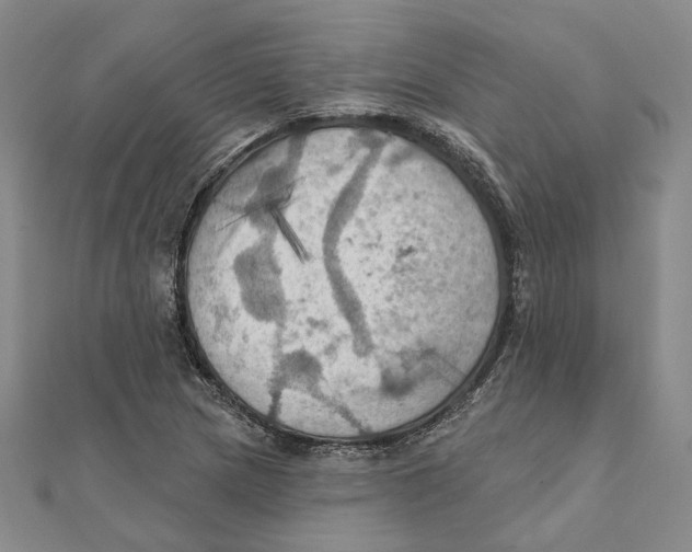 X0000111361217200908071146
