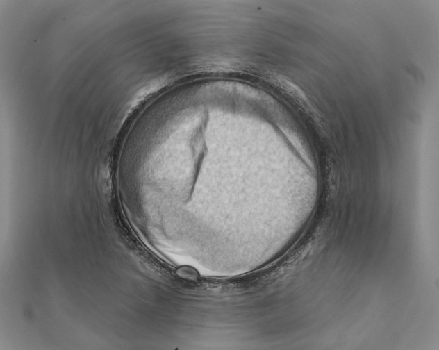 X0000111361218200908071146