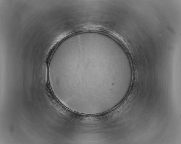 X0000111361219200908071146