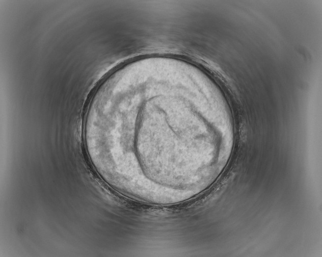 X0000111361220200908071146