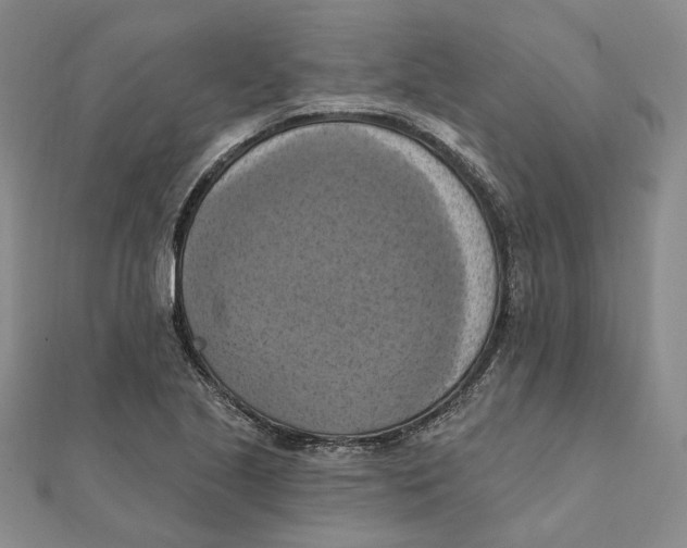 X0000111361221200908071146