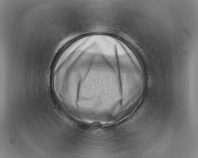 X0000111361222200908071146