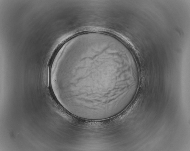 X0000111361223200908071146