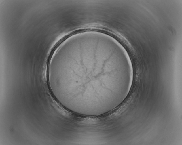 X0000111361224200908071146