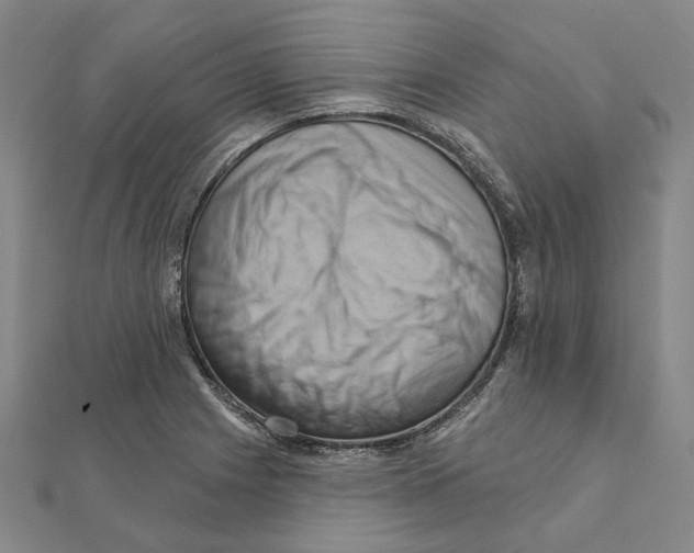 X0000111361225200908071146