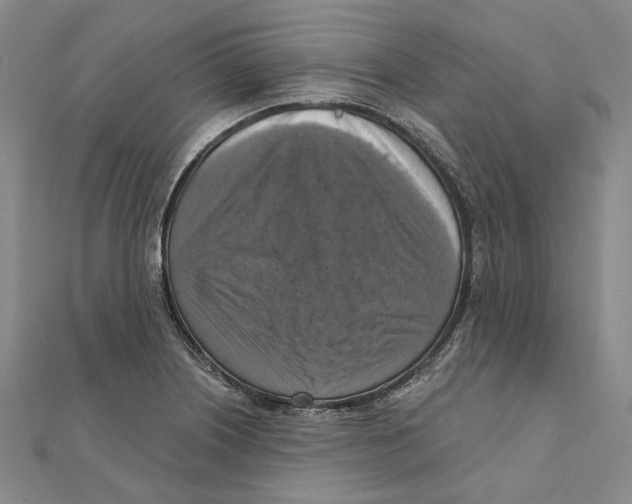 X0000111361226200908071146