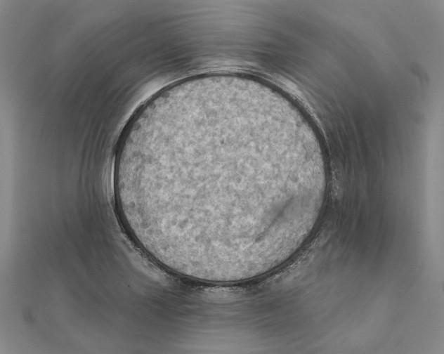 X0000111361227200908071146