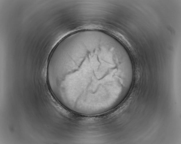 X0000111361228200908071146