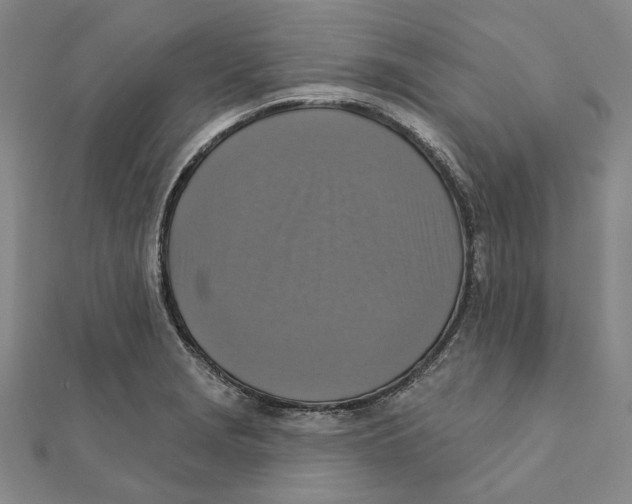 X0000111361229200908071146