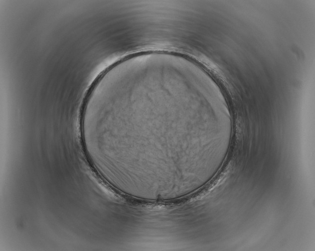 X0000111361230200908071146