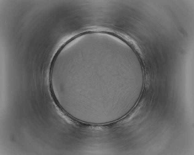 X0000111361231200908071146