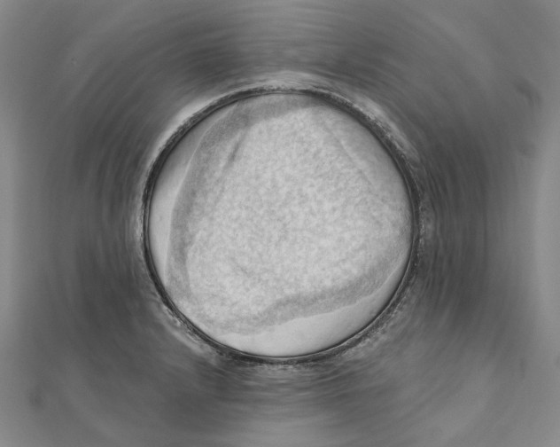 X0000111361232200908071146