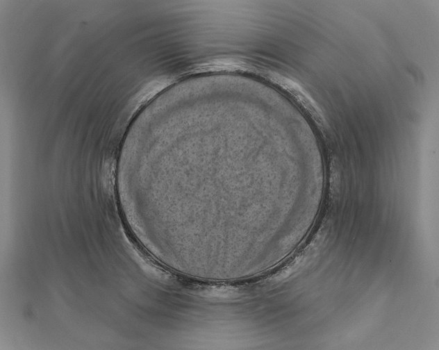 X0000111361233200908071147