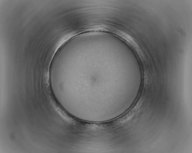 X0000111361234200908071147