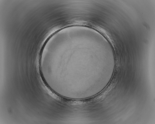 X0000111361235200908071147