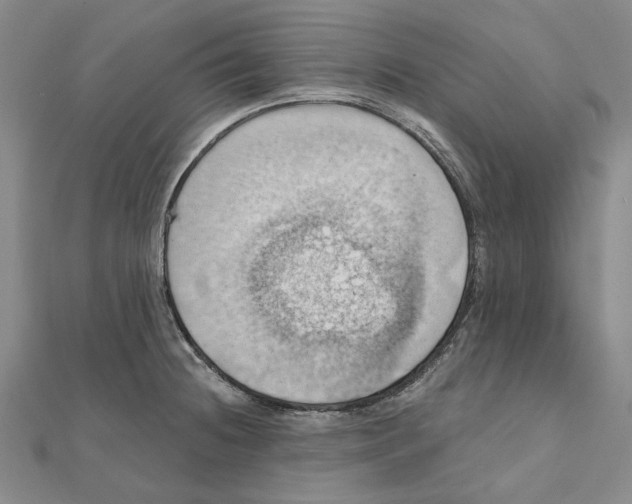 X0000111361236200908071147