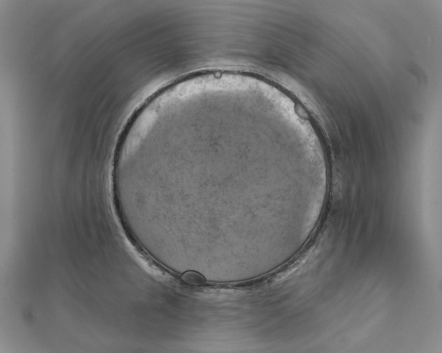 X0000111361237200908071147