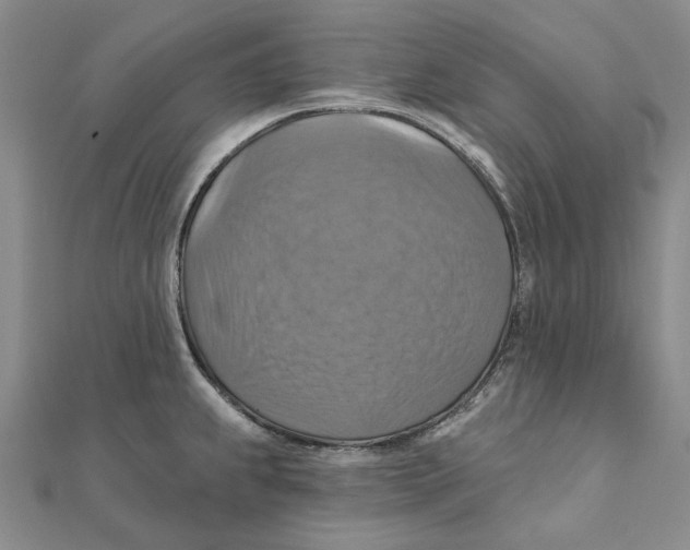 X0000111361239200908071147