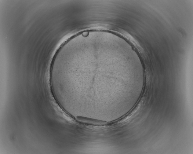 X0000111361240200908071147